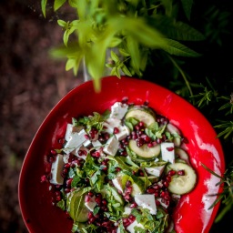 Kühlfrisch-fixer Sommertraum für heiße Tage: Gurkensalat mit Granatapfel, Feta und Cranberry-Minz-Dressing